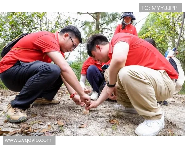 南京极限运动队分享比赛经验与挑战探索的精彩旅程
