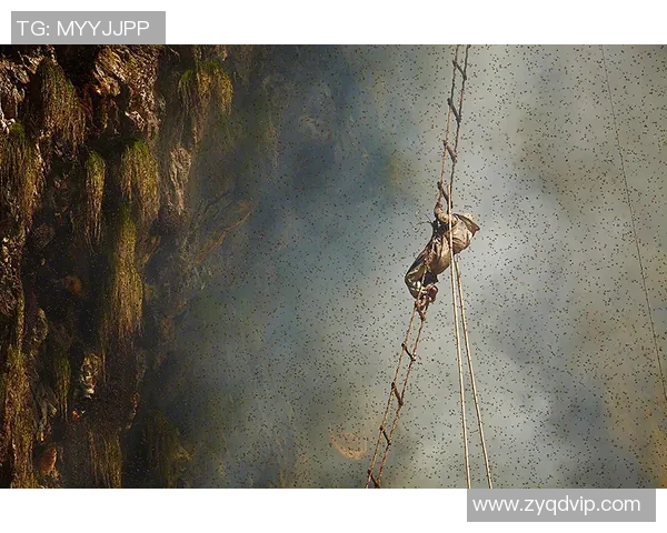 广州攀岩队的奋斗与突破：一段不屈不挠的攀岩之旅纪实