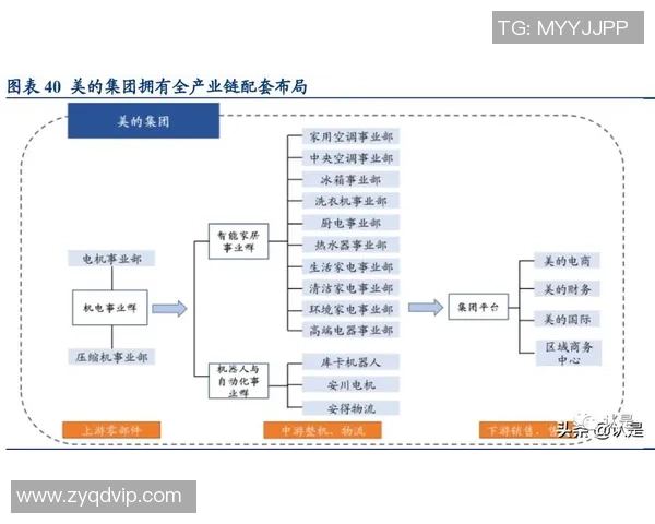 广州排球队技术分析与战术创新的深度探讨与展望