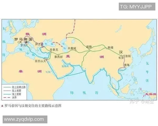 广州羽毛球队防守革新之路探索与实践的深度分析与展望