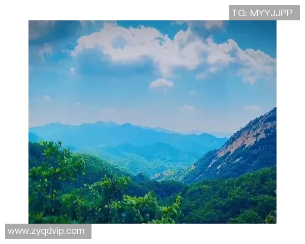 攀岩人生的高峰与低谷陈伟分享他的攀岩旅程与心路历程