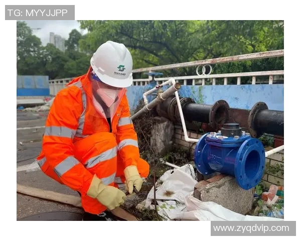 深圳极限运动队的区域防守策略与热点分析探讨